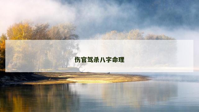 伤官驾杀八字命理