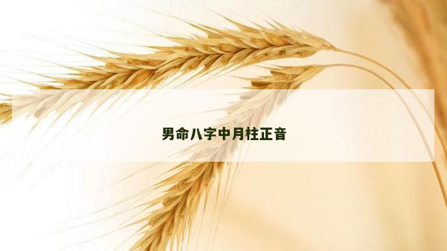 男命八字中月柱正音