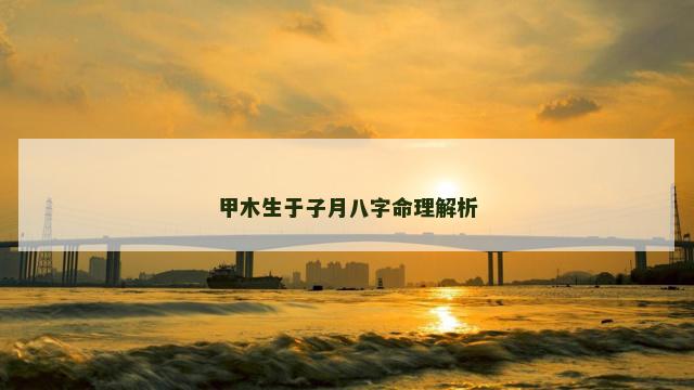 甲木生于子月八字命理解析