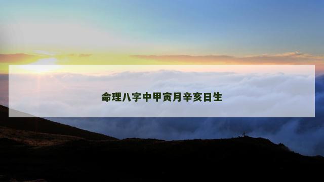 命理八字中甲寅月辛亥日生