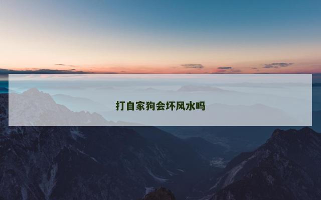 打自家狗会坏风水吗