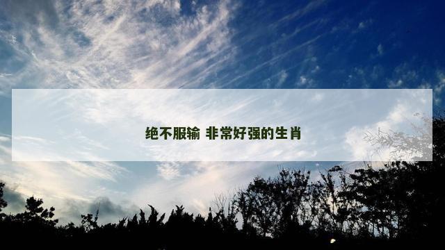 绝不服输 非常好强的生肖