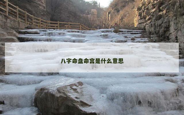 八字命盘命宫是什么意思