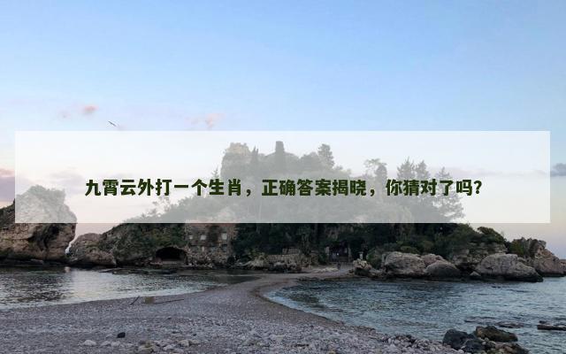 九霄云外打一个生肖,正确答案揭晓,你猜对了吗? 九霄云外打一个生肖,正确答案揭晓,你猜对了吗?