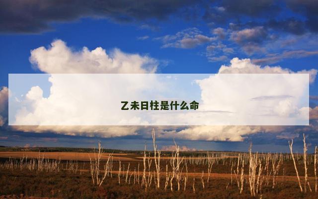 乙未日柱是什么命 乙未日柱是什么命