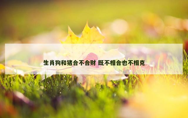 生肖狗和猪合不合财 既不相合也不相克 生肖狗和猪合不合财 既不相合也不相克