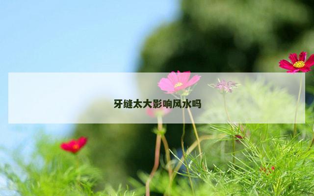 牙缝太大影响风水吗 牙缝太大影响风水吗