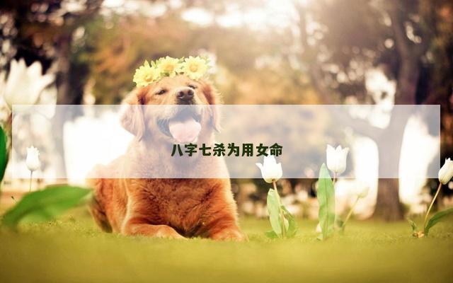 八字七杀为用女命
