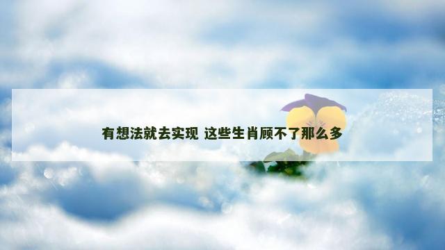 有想法就去实现 这些生肖顾不了那么多 有想法就去实现 这些生肖顾不了那么多