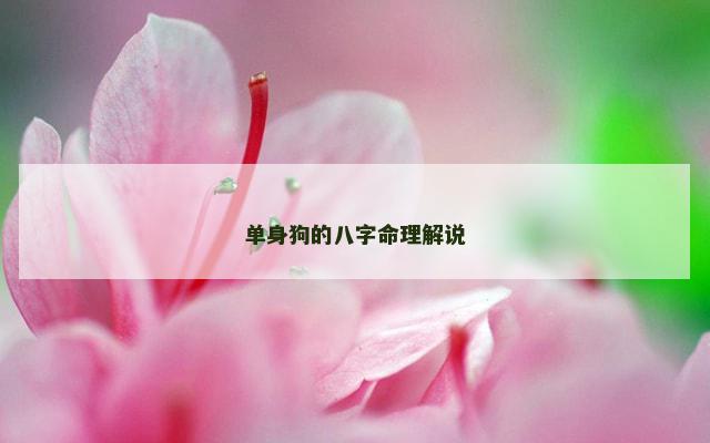 单身狗的八字命理解说 单身狗的八字命理解说