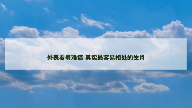 外表看着难搞 其实最容易相处的生肖 外表看着难搞 其实最容易相处的生肖