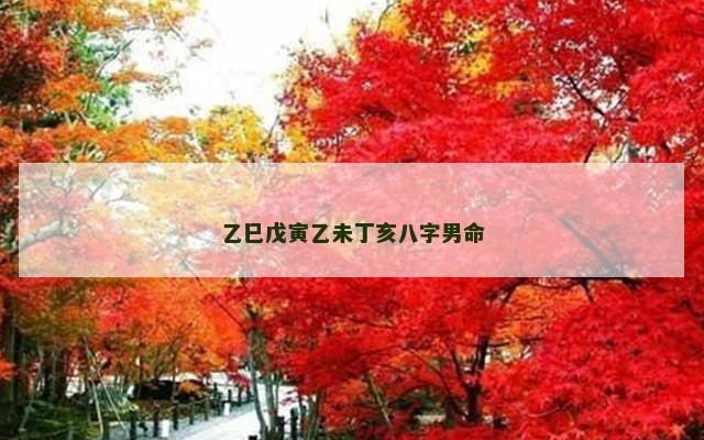 乙巳戊寅乙未丁亥八字男命 乙巳戊寅乙未丁亥八字男命