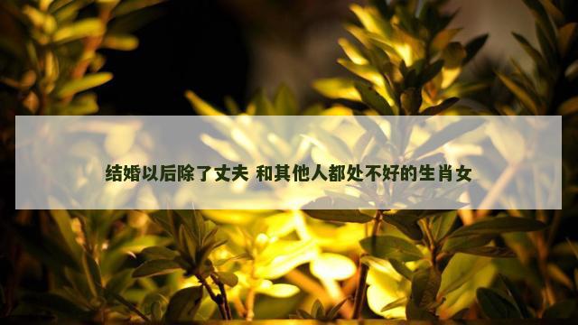 结婚以后除了丈夫 和其他人都处不好的生肖女 结婚以后除了丈夫 和其他人都处不好的生肖女