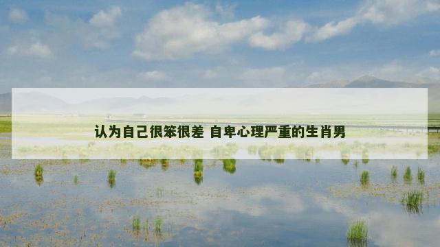 认为自己很笨很差 自卑心理严重的生肖男