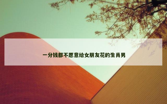 一分钱都不愿意给女朋友花的生肖男