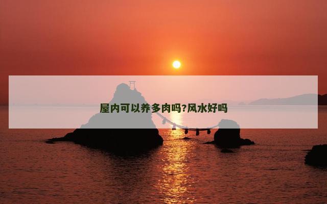 屋内可以养多肉吗?风水好吗