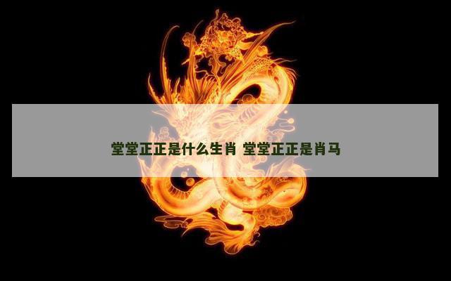 堂堂正正是什么生肖 堂堂正正是肖马 堂堂正正是什么生肖 堂堂正正是肖马