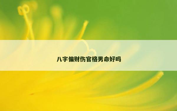 八字偏财伤官格男命好吗 八字偏财伤官格男命好吗