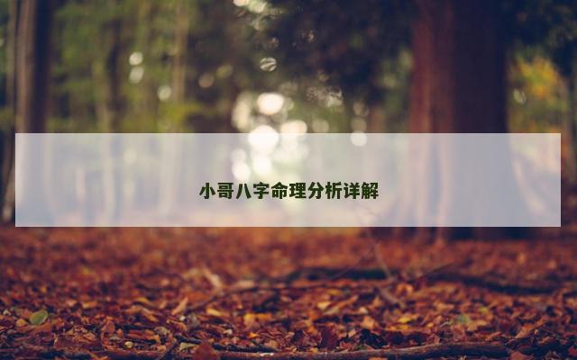 小哥八字命理分析详解 小哥八字命理分析详解