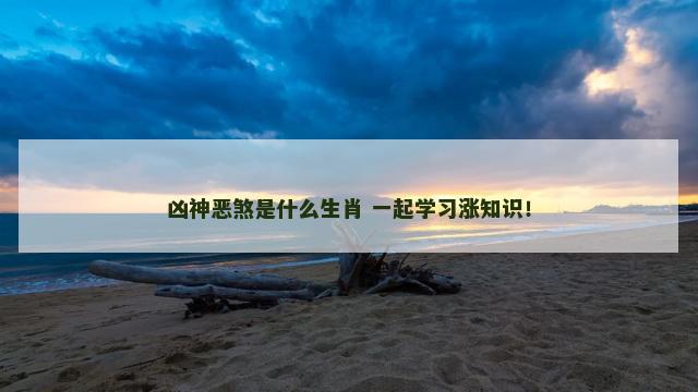 凶神恶煞是什么生肖 一起学习涨知识! 凶神恶煞是什么生肖 一起学习涨知识!