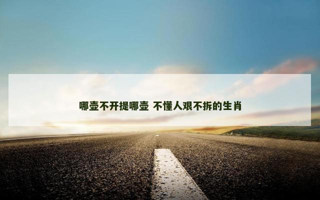 哪壶不开提哪壶 不懂人艰不拆的生肖 哪壶不开提哪壶 不懂人艰不拆的生肖