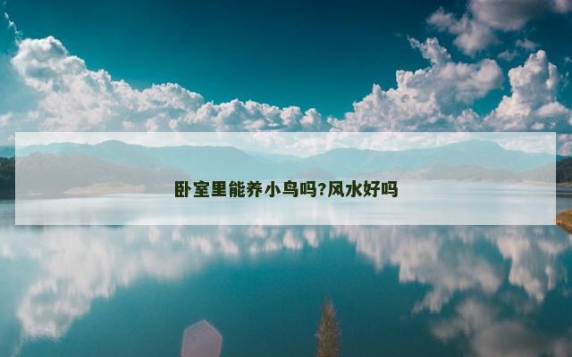 卧室里能养小鸟吗?风水好吗 卧室里能养小鸟吗?风水好吗