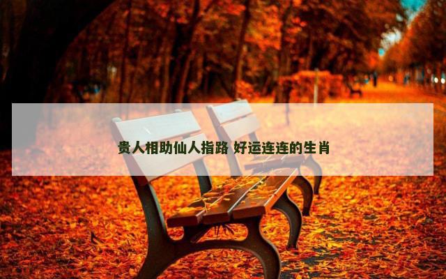 贵人相助仙人指路 好运连连的生肖