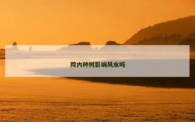 院内种树影响风水吗