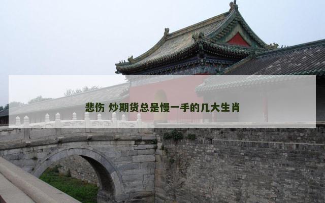 悲伤 炒期货总是慢一手的几大生肖