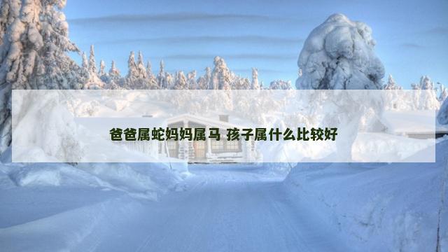 爸爸属蛇妈妈属马 孩子属什么比较好