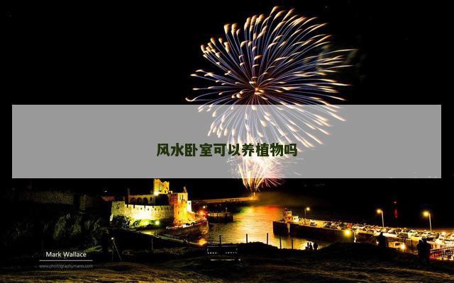 风水卧室可以养植物吗