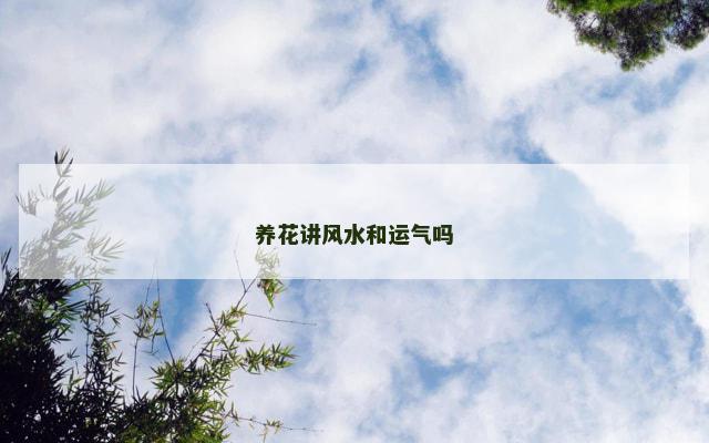 养花讲风水和运气吗