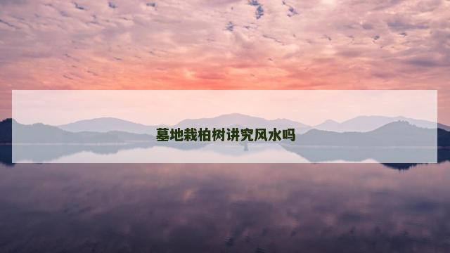 墓地栽柏树讲究风水吗 墓地栽柏树讲究风水吗