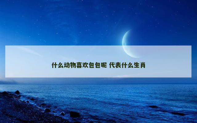 什么动物喜欢包包呢 代表什么生肖 什么动物喜欢包包呢 代表什么生肖