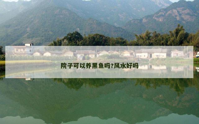 院子可以养黑鱼吗?风水好吗 院子可以养黑鱼吗?风水好吗