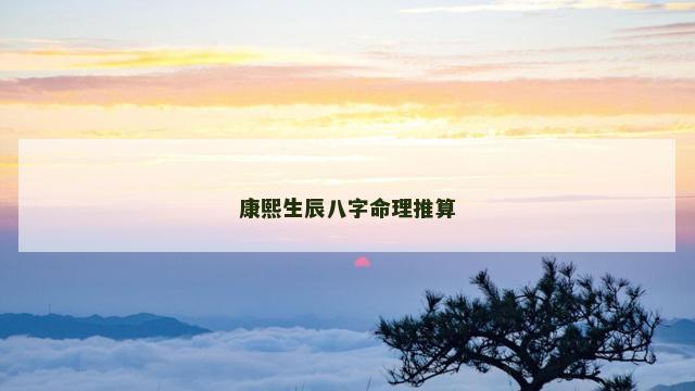 康熙生辰八字命理推算