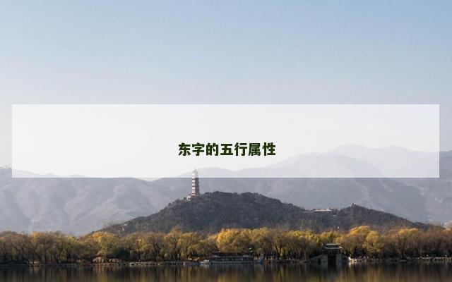 东字的五行属性