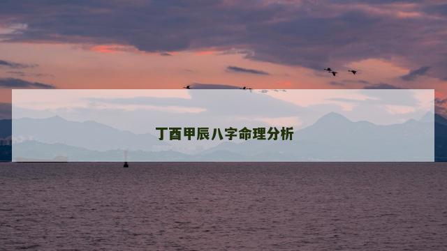 丁酉甲辰八字命理分析