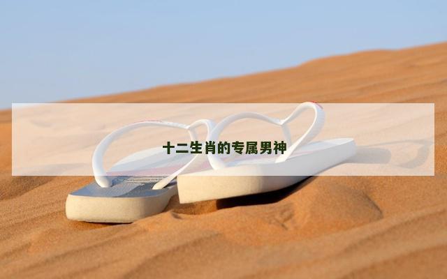 十二生肖的专属男神 十二生肖的专属男神