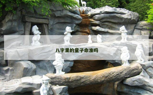 八字里的童子命准吗