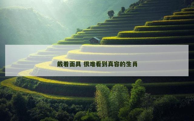 戴着面具 很难看到真容的生肖 戴着面具 很难看到真容的生肖