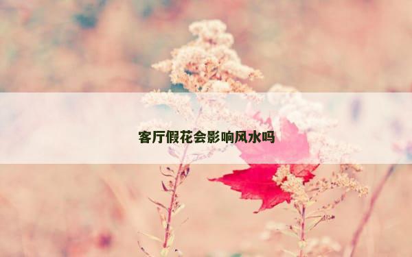 客厅假花会影响风水吗