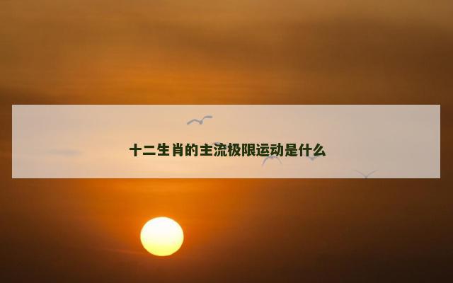 十二生肖的主流极限运动是什么