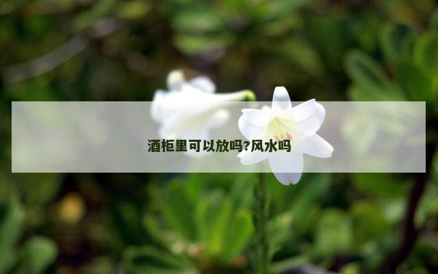 酒柜里可以放吗?风水吗 酒柜里可以放吗?风水吗