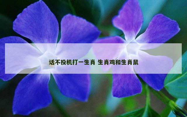 话不投机打一生肖 生肖鸡和生肖鼠 话不投机打一生肖 生肖鸡和生肖鼠