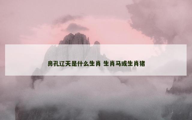 鼻孔辽天是什么生肖 生肖马或生肖猪 鼻孔辽天是什么生肖 生肖马或生肖猪