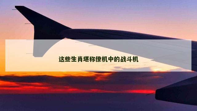 这些生肖堪称僚机中的战斗机