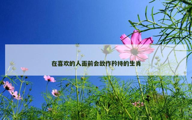 在喜欢的人面前会故作矜持的生肖