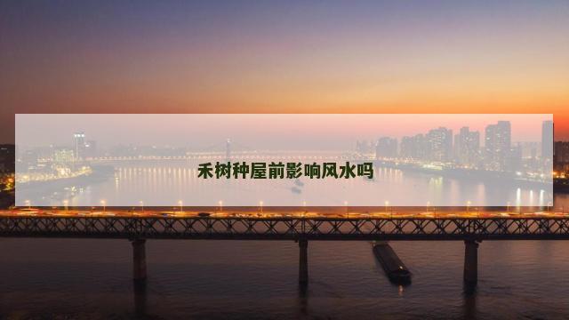 禾树种屋前影响风水吗