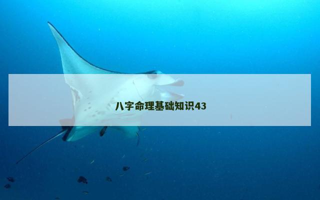 八字命理基础知识43